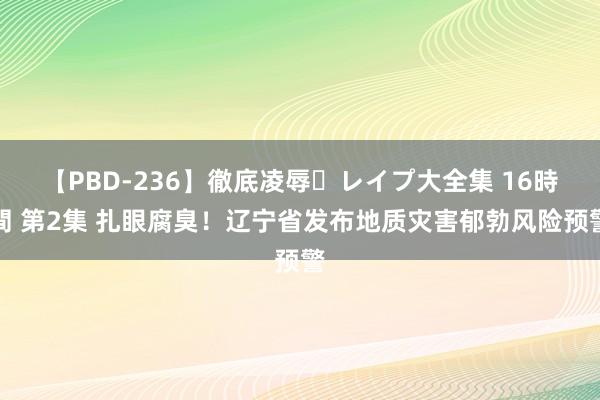 【PBD-236】徹底凌辱・レイプ大全集 16時間 第2集 扎眼腐臭！辽宁省发布地质灾害郁勃风险预警