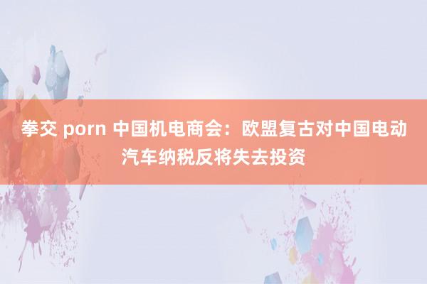 拳交 porn 中国机电商会：欧盟复古对中国电动汽车纳税反将失去投资