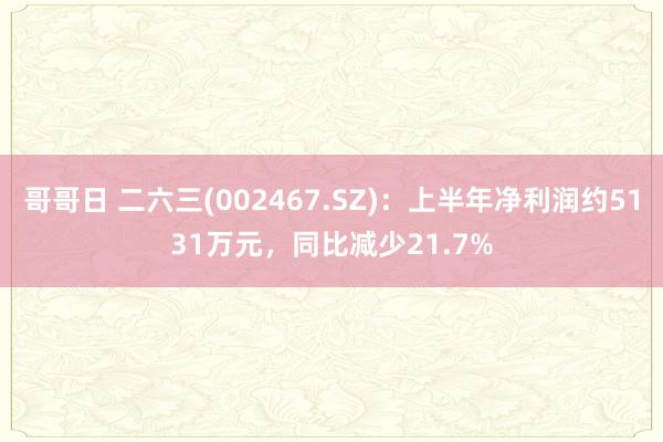 哥哥日 二六三(002467.SZ)：上半年净利润约5131万元，同比减少21.7%