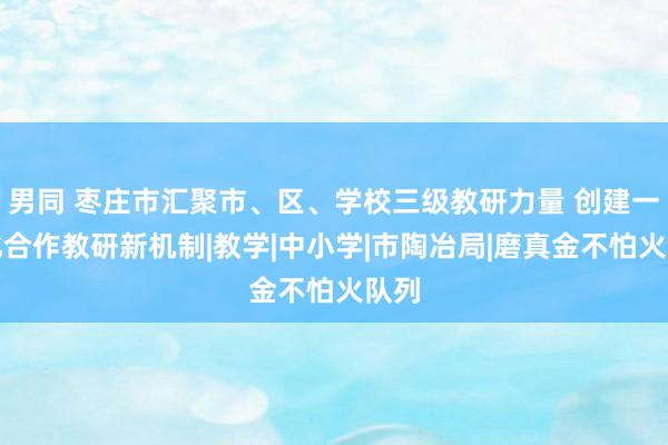 男同 枣庄市汇聚市、区、学校三级教研力量 创建一体化合作教研新机制|教学|中小学|市陶冶局|磨真金不怕火队列