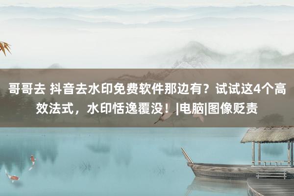 哥哥去 抖音去水印免费软件那边有？试试这4个高效法式，水印恬逸覆没！|电脑|图像贬责