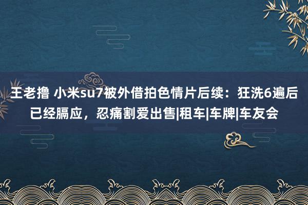 王老撸 小米su7被外借拍色情片后续：狂洗6遍后已经膈应，忍痛割爱出售|租车|车牌|车友会